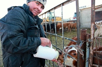 Казахстан принял дорожную карту по стандартам в молочной отрасли