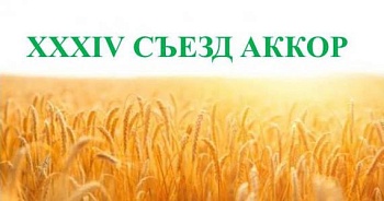 XXXIV съезд АККОР пройдет 9-10 февраля