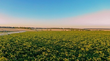 Агрохолдинг приобретёт актив в Калининградской области для двух селекционных проектов  