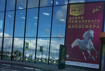 В Петербурге прошло конное шоу «Иппосфера»