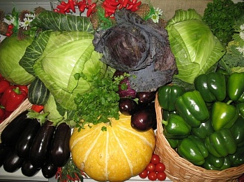 Декларирование плодоовощной продукции – гарантия ее качества и безопасности