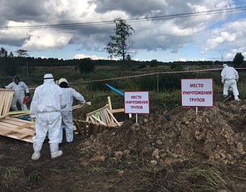 Учения по ликвидации условного очага АЧС