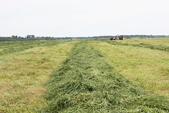 ФАС России отказывается поддержать распределение сельхозземель по конкурсу