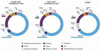 Рынок зерна в России: производство зерновых культур в 2021 году