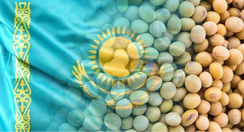 Казахстан наращивает закупки из Алтайского края