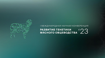 Прошла Первая Международная научная конференция по развитию генетики мясного овцеводства