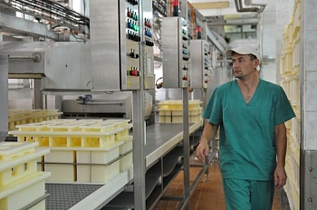 Удмуртия освоила итальянскую технологию производства сыра