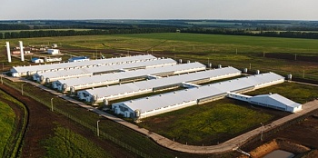 Миллион на откорме