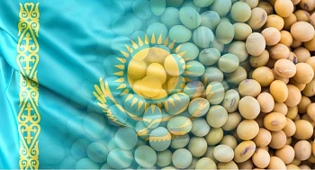 Казахстан наращивает закупки из Алтайского края