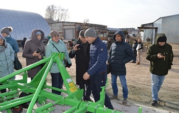 Знаний много не бывает