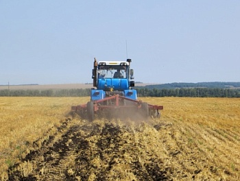 В Пензенской области введено в оборот 9,7 тыс. гектаров неиспользуемой пашни