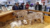 EuroTier 2018: животноводство 4.0
