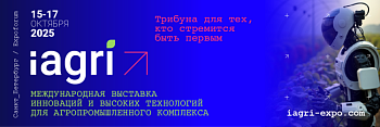 «В Питере – питч» идей и технологий!