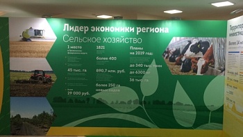 Пензенская область презентовала аграрный потенциал на Днях области в Совете Федерации