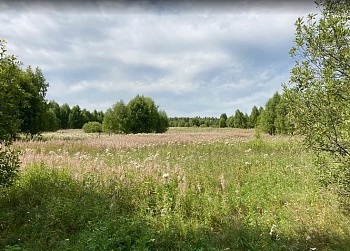 Введение в оборот залежи под органическое сельское хозяйство