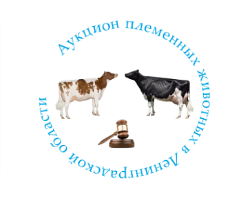 VI Аукцион племенных животных в Ленинградской области