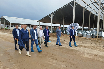 Лужский район готовит молочные комплексы к вводу в строй