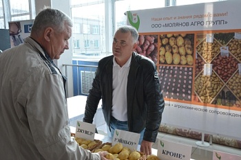Челябинские и самарские картофелеводы вместе выращивают семенной картофель
