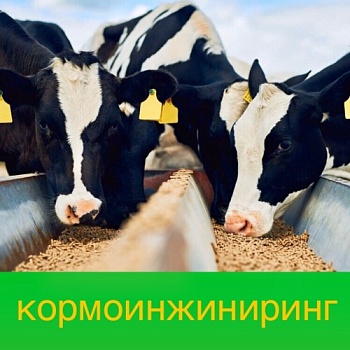 Семинар «АгроВитЭкс» по управлению кормовыми ресурсами