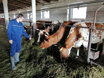 Новости от уральских ученых