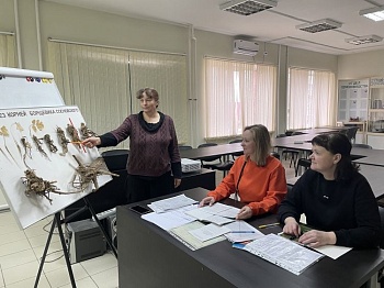 Специалисты обучили проведению фитосанитарного мониторинга по борщевику Сосновского