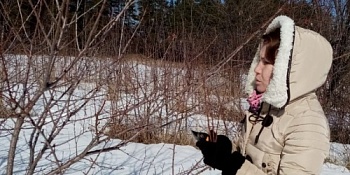 В Дагестане изучают уральские сорта плодовых культур
