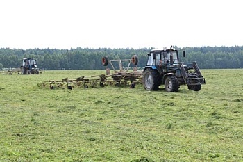 В ООО «Ручьевское» в разгаре второй укос многолетних трав