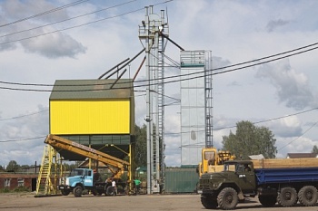 Красноярский край принял меры поддержки экспортеров органической продукции