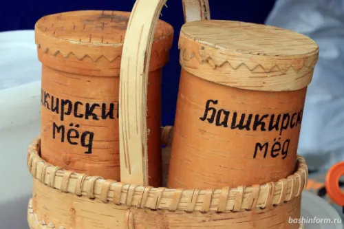 Пчеловодов Башкортостана поддержат субсидией
