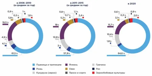 Рынок зерна в России: производство зерновых культур в 2021 году