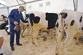 «Штучный» товар или массовый продукт?