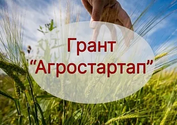 Грант «Агростартап» увеличен на 2 миллиона рублей