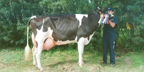 Инновационные технологии в молочном скотоводстве Польши