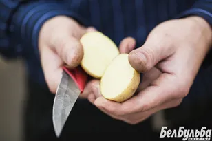 Резать или не резать семенной картофель перед посадкой?